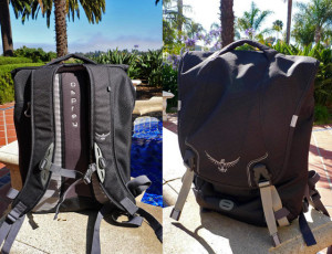 osprey_2