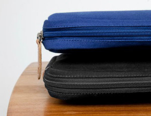 carryology