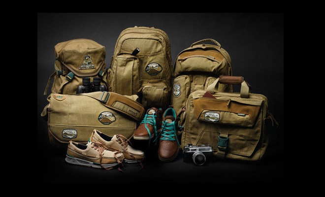 Gravis