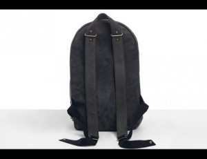 Haerfest AE1 Backpack - back