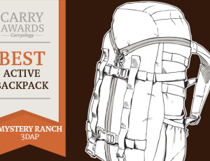 carry-awards-activebp-3dap