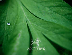 carryology-arcteryx-6