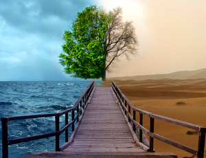 environment_project_01_by_moure