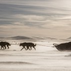 Into the wilderness :: Fjällräven Polar 2014