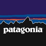 lightweight travel tote pack patagonia