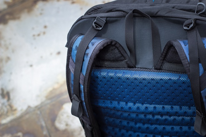 Boreas Muir Woods 30 :: From Bogota to Big Jungle - Carryology 