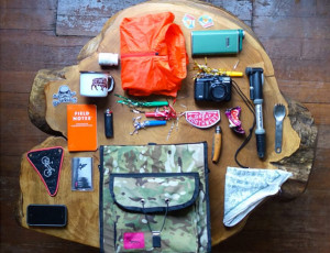 Share Your Carry ID :: #mycarryID Roundup