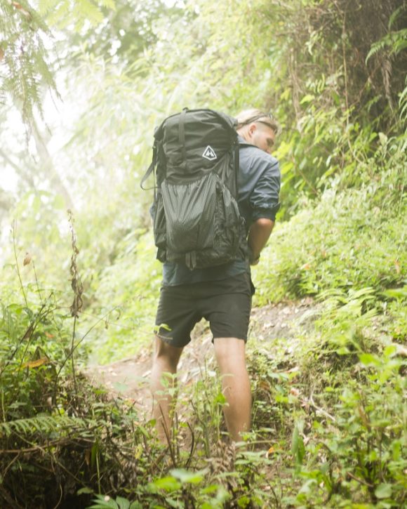 pedal whammy DigiTech