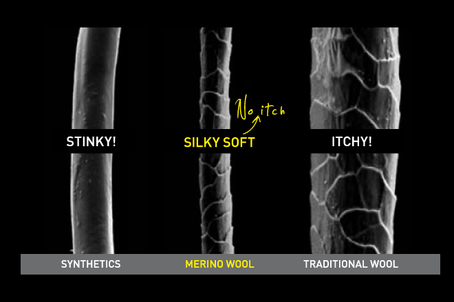 Merino Wool vs Wool. What's the difference?