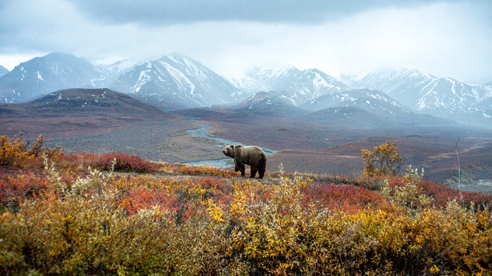 What to Pack for an Alaskan Adventure - Charles Post