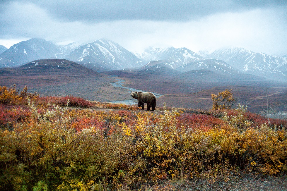 Packing List | What to Pack for an Alaskan Adventure