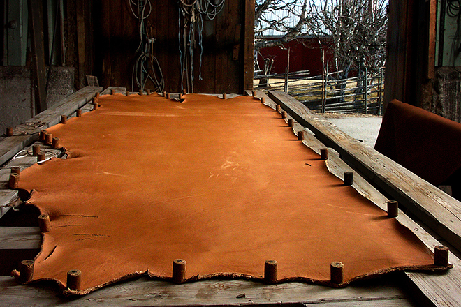 Leather hide drying