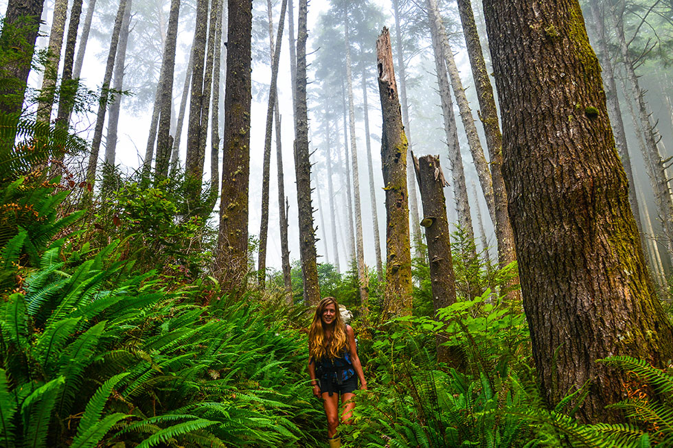 Ashley Hill Olympic National Park