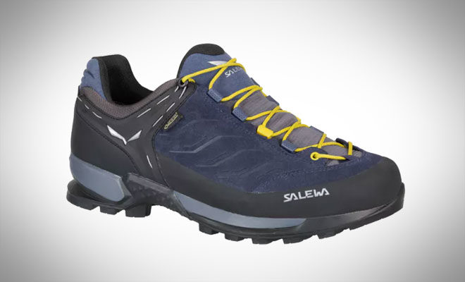 Salewa Mountain Trainer GTX