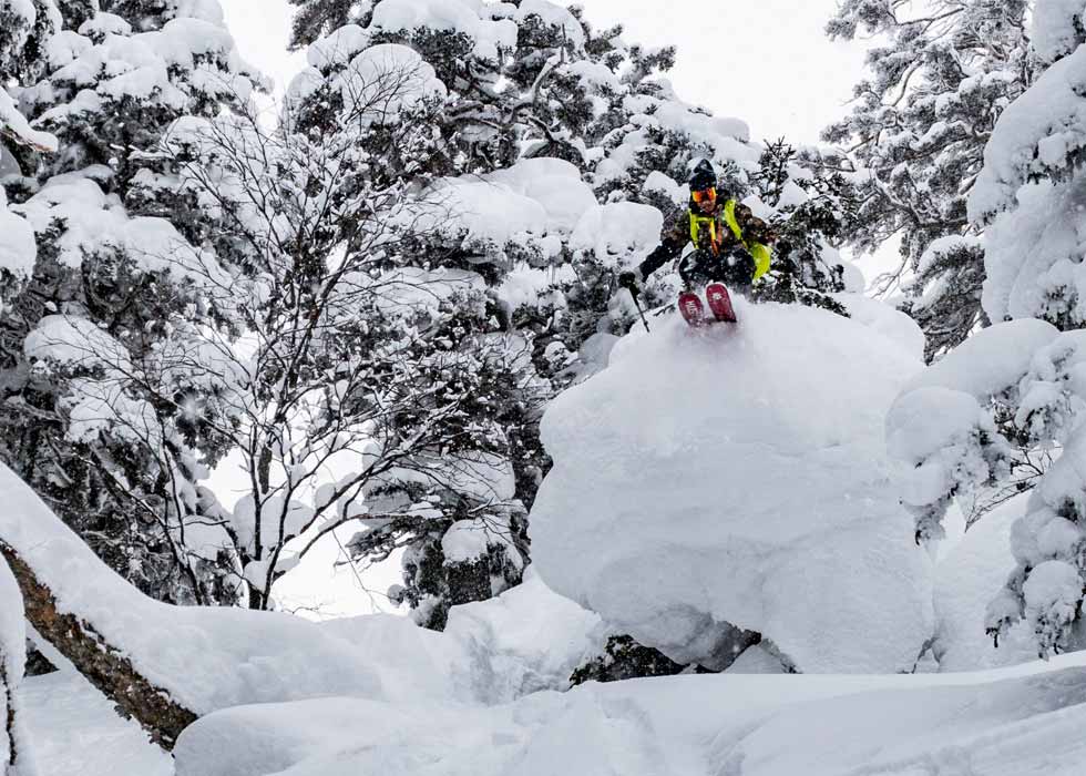 skiiing in hokkaido