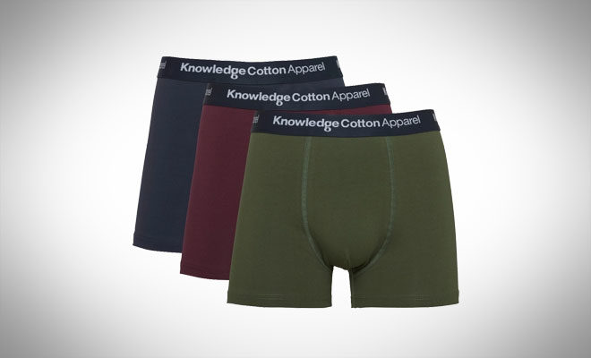 KnowledgeCotton Apparel MAPLE 3 Pack Underwear