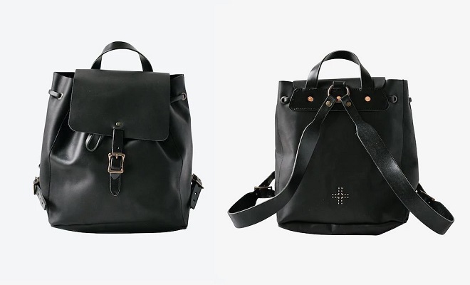 wp standard backpack