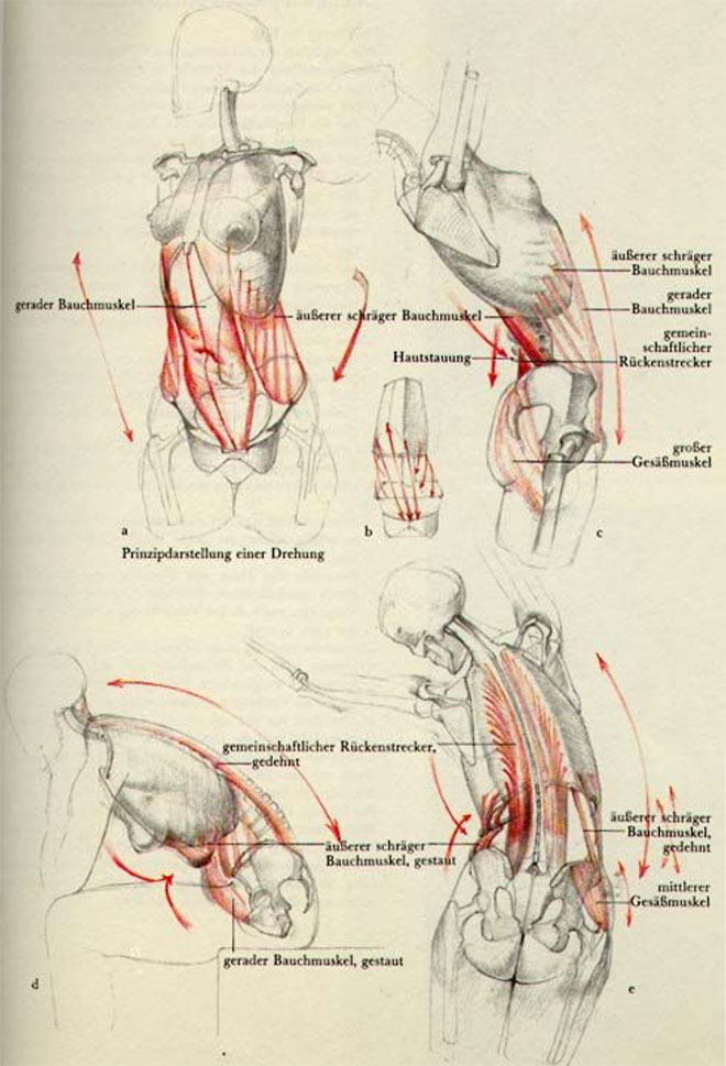 Biomechanics