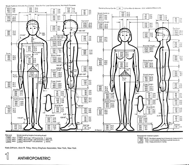 Anthropometric