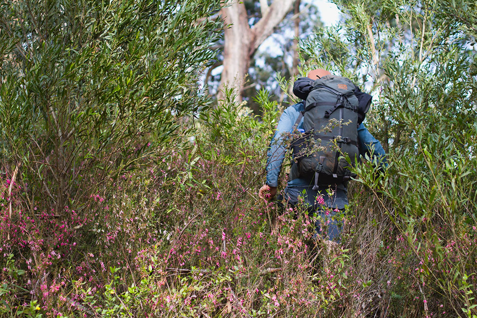 Mystery Ranch Terraframe 50 Review | Carryology