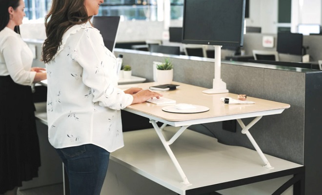 MOVI Standing Desk Lite Model