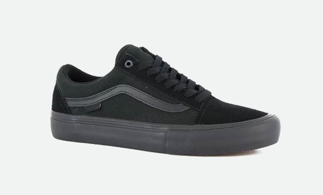 Comfortable men's travel shoes: 
Vans Old Skool Pro