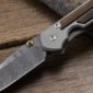 Chris Reeve Small Sebenza 21 with Devin Thomas Damascus