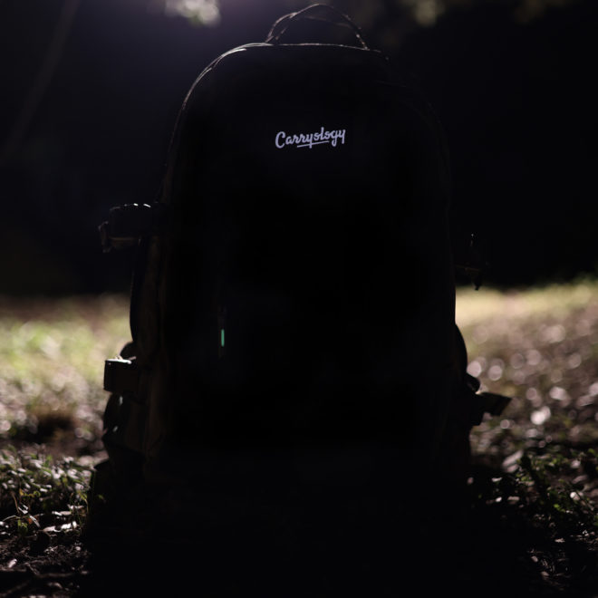 Carryology Morale Patch Program | The Firefly Final Collection