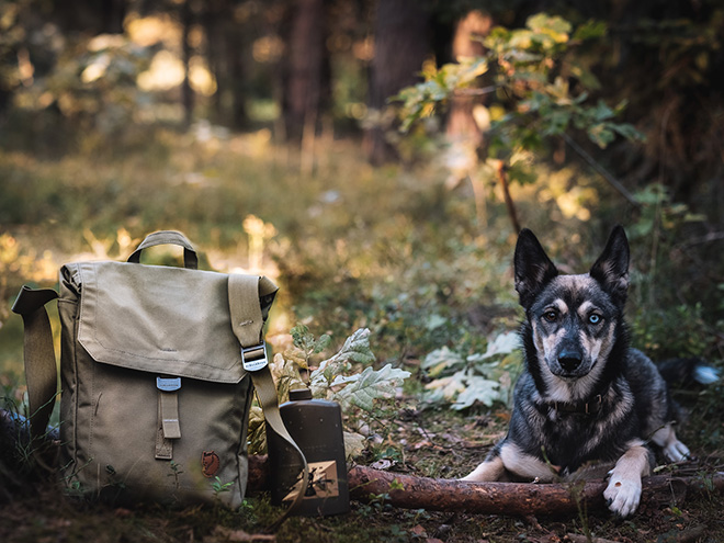 Bags Under $100: Fjällräven Foldsack No. 3 