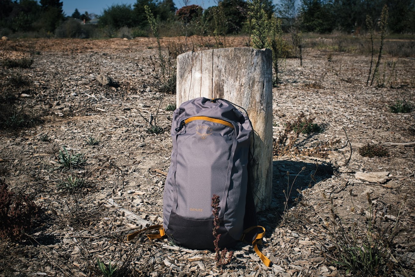 Our Team's Favorite Bags Under $100: Osprey Daylite Cinch