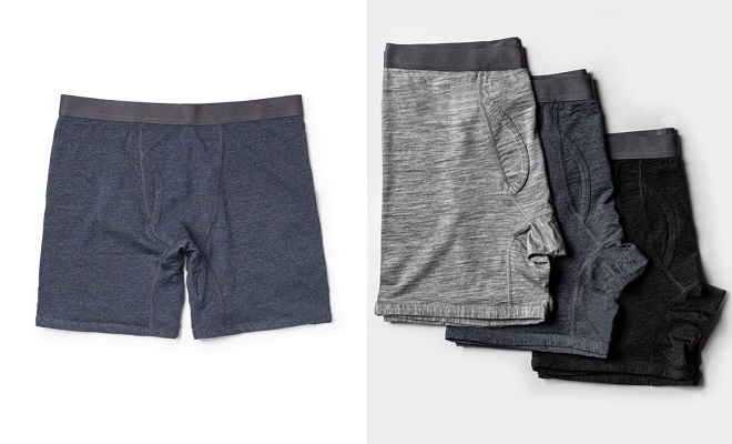 Taylor Stitch Merino Boxer