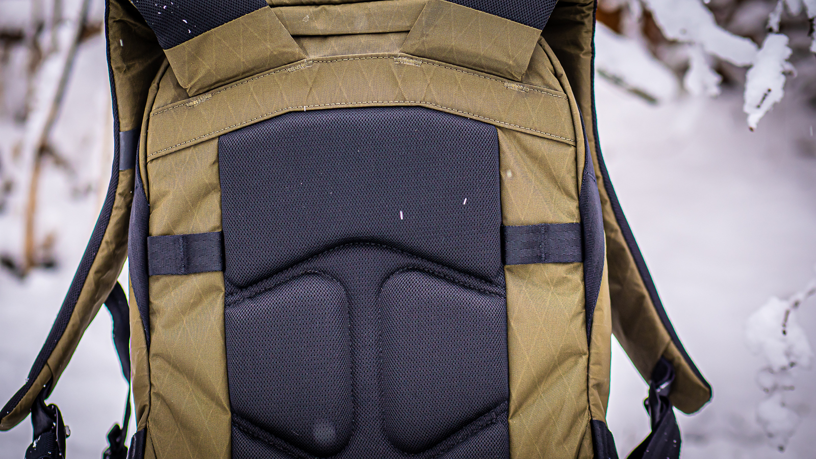 Exclusive First Look | Able Carry Daily Plus