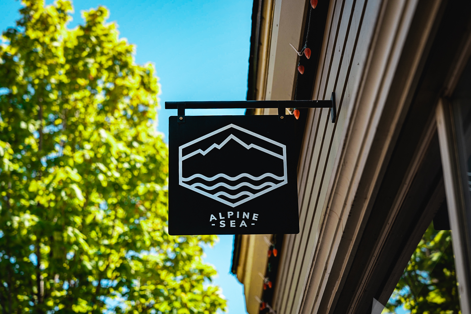 A Brand You Need to Know | Alpine Sea Co