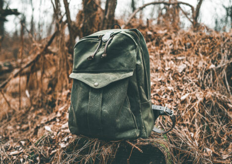 Sandqvist Alva Backpack - Carryology - Exploring better ways to carry