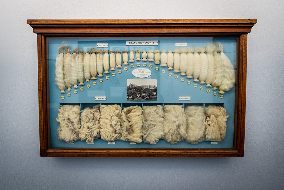 Australian merino wool