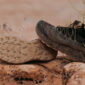 NAGLEV Veloce Kevlar Trail Running Shoe