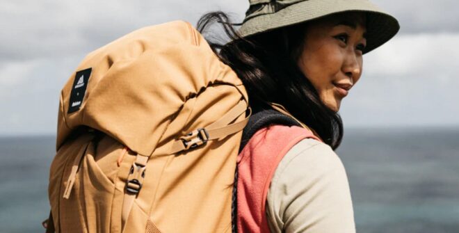 11 Best Women's Bags for Work, Travel, and Everyday Use - Carryology