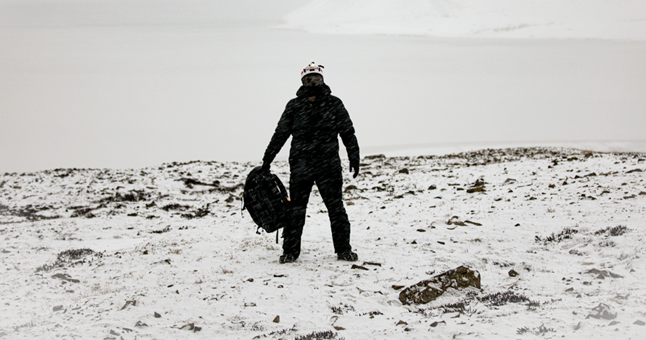 Ultralight Monochrome Field System
