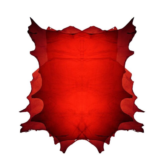 Sruli Recht | The Material Alchemist