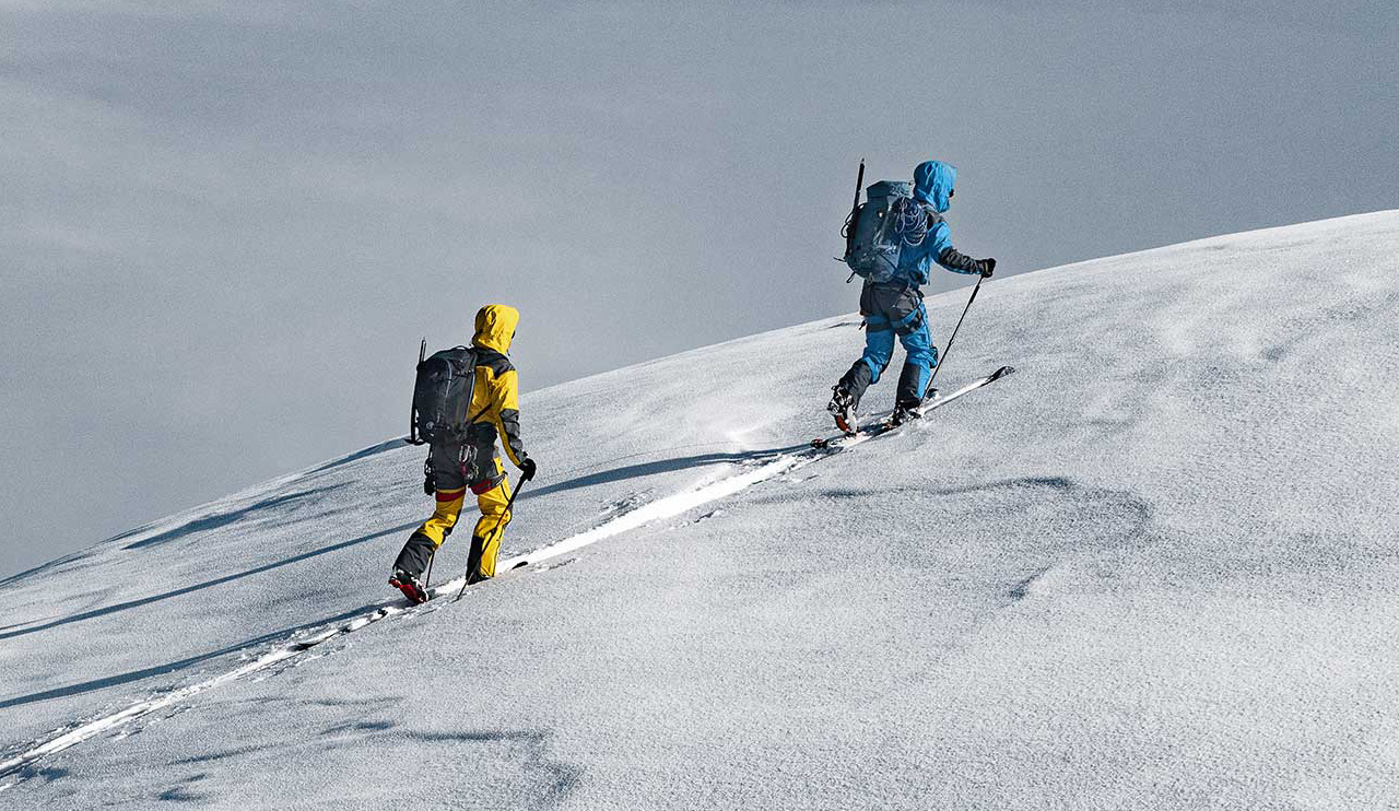 stellar equipment athletes