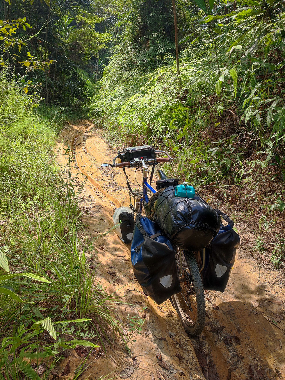 Expedition Bicycle in the Gola Rainforest, Liberia