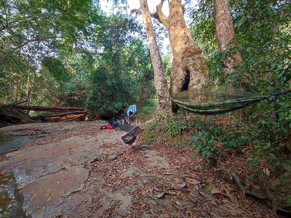 Hammock between two trees in the Gola Rainforest