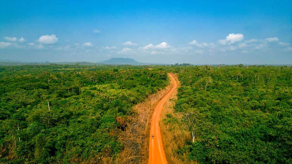 Track through the Gola Rainforest, Liberia