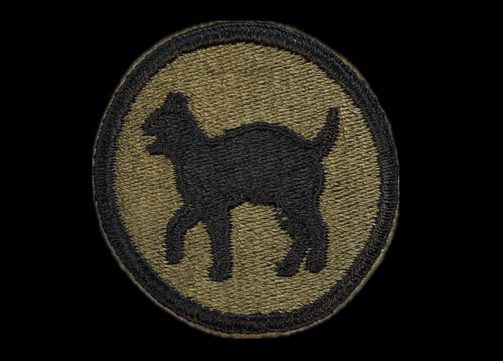 Shoulder patch for the U.S. 81st infantry "Wildcat" division