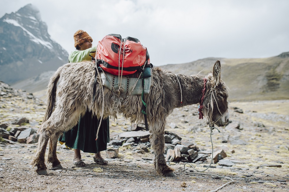 The North Face Base Camp Duffel