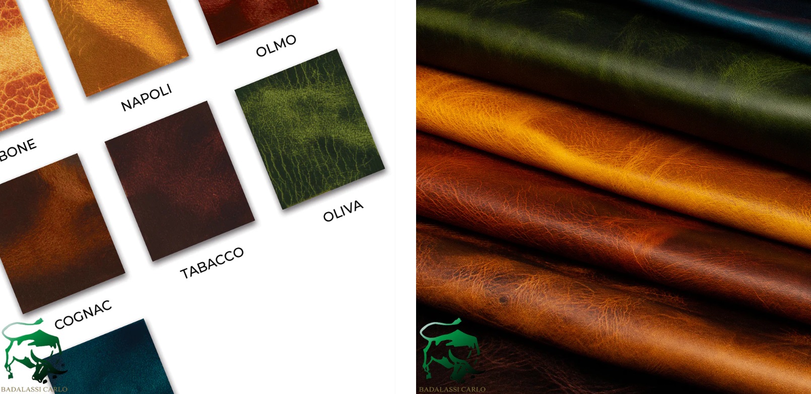 Badalassi carlo wax - colour card
